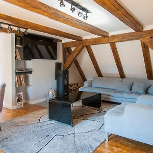  Apartament Roof